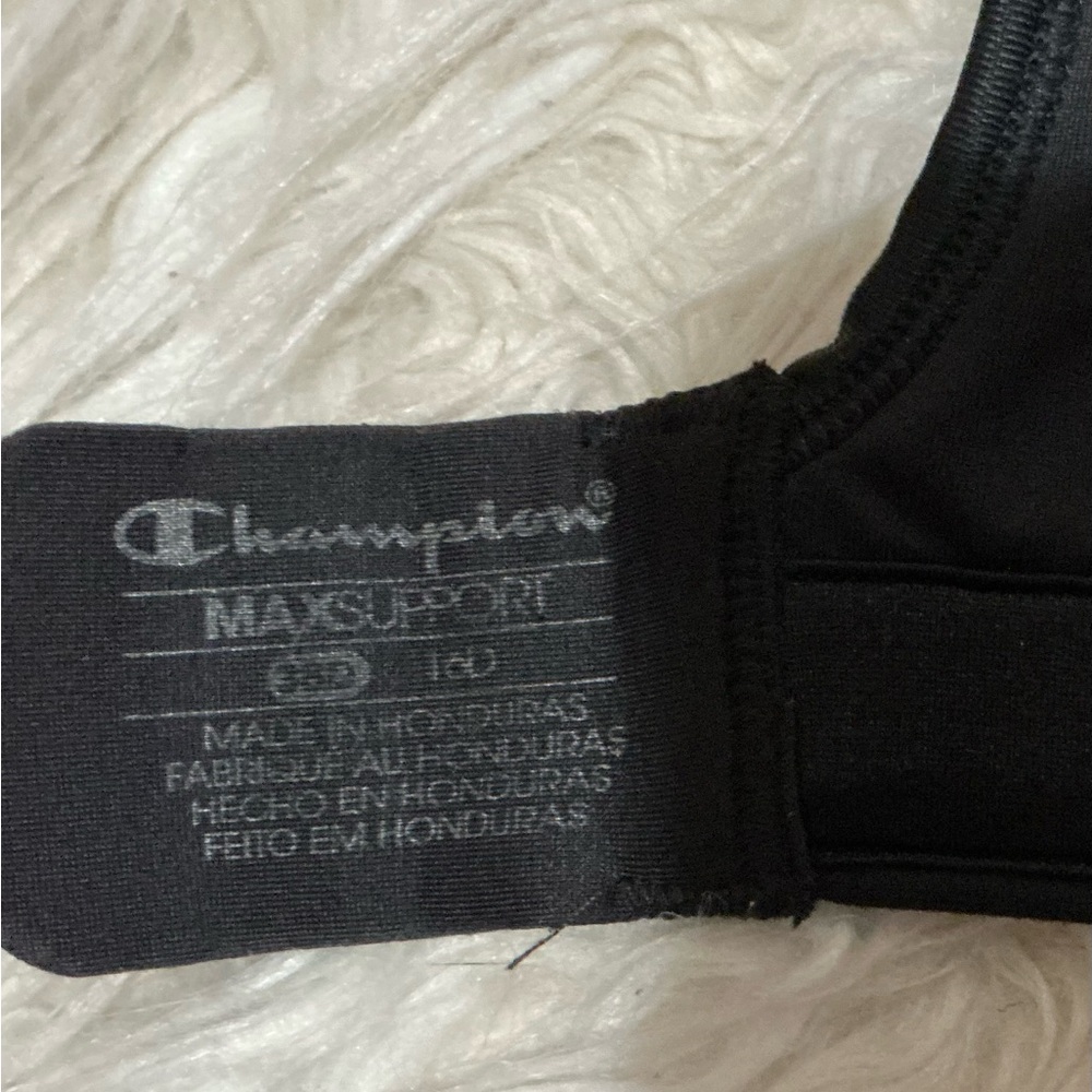 Champion Black Sports Bra with Light Blue Trim - Picture 7 of 8